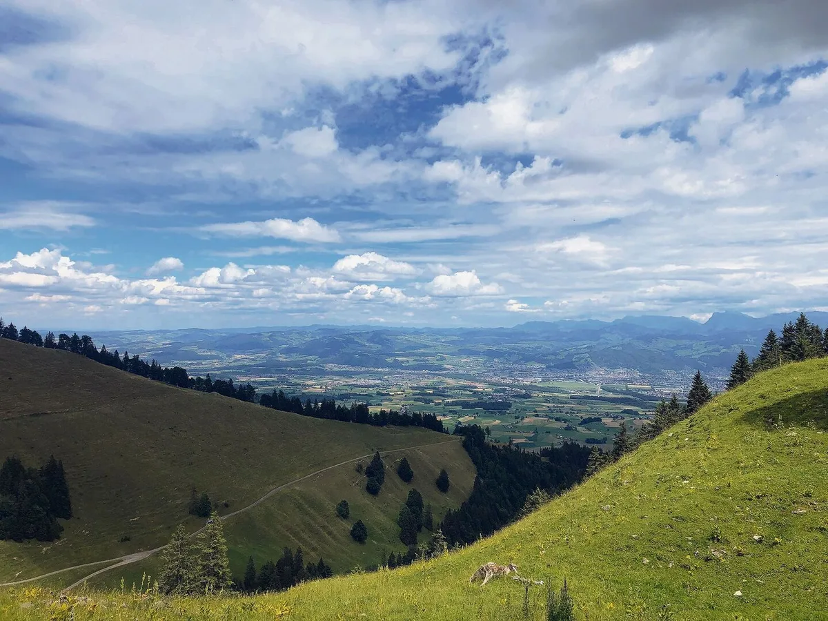 Wegen der Bise trockneten die Böden im Juli auch in höheren Lagen stark aus. Es war ein Sommer mit rekordmässig vielen Hitzetagen und -wellen. Auch die Sonnenscheindauer erreichte neue Höchstwerte.