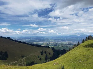 Wegen der Bise trockneten die Böden im Juli auch in höheren Lagen stark aus. Es war ein Sommer mit rekordmässig vielen Hitzetagen und -wellen. Auch die Sonnenscheindauer erreichte neue Höchstwerte.