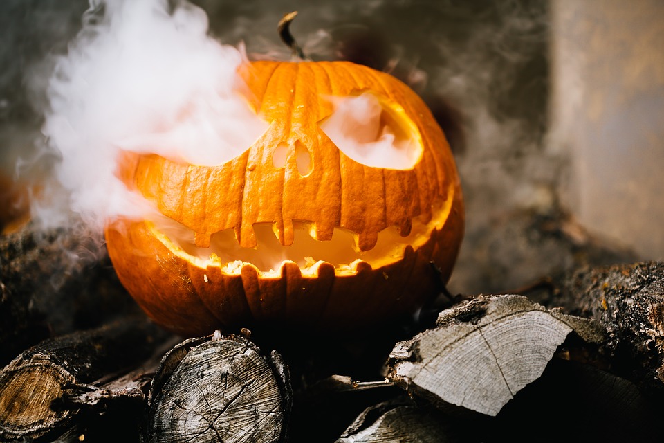 Der Kürbis bietet viel – auch am Kürbisfest in Radolfingen konnte man diesen vielen neugierigen Besuchern schmackhaft machen. (Bild/pixabay)