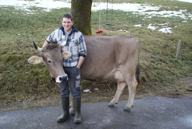 Michael Raschle mit der Original Braunen Kuh Donau. (Bilder Michael Götz)