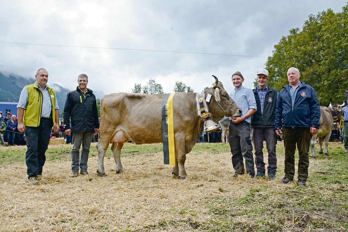 Miss OB wurde General Belinda von Gusti Zurfluh aus Isenthal, eine «Top-Bergkuh» befand Schauexperte Anderegg. (Bilder Andrea Gysin)