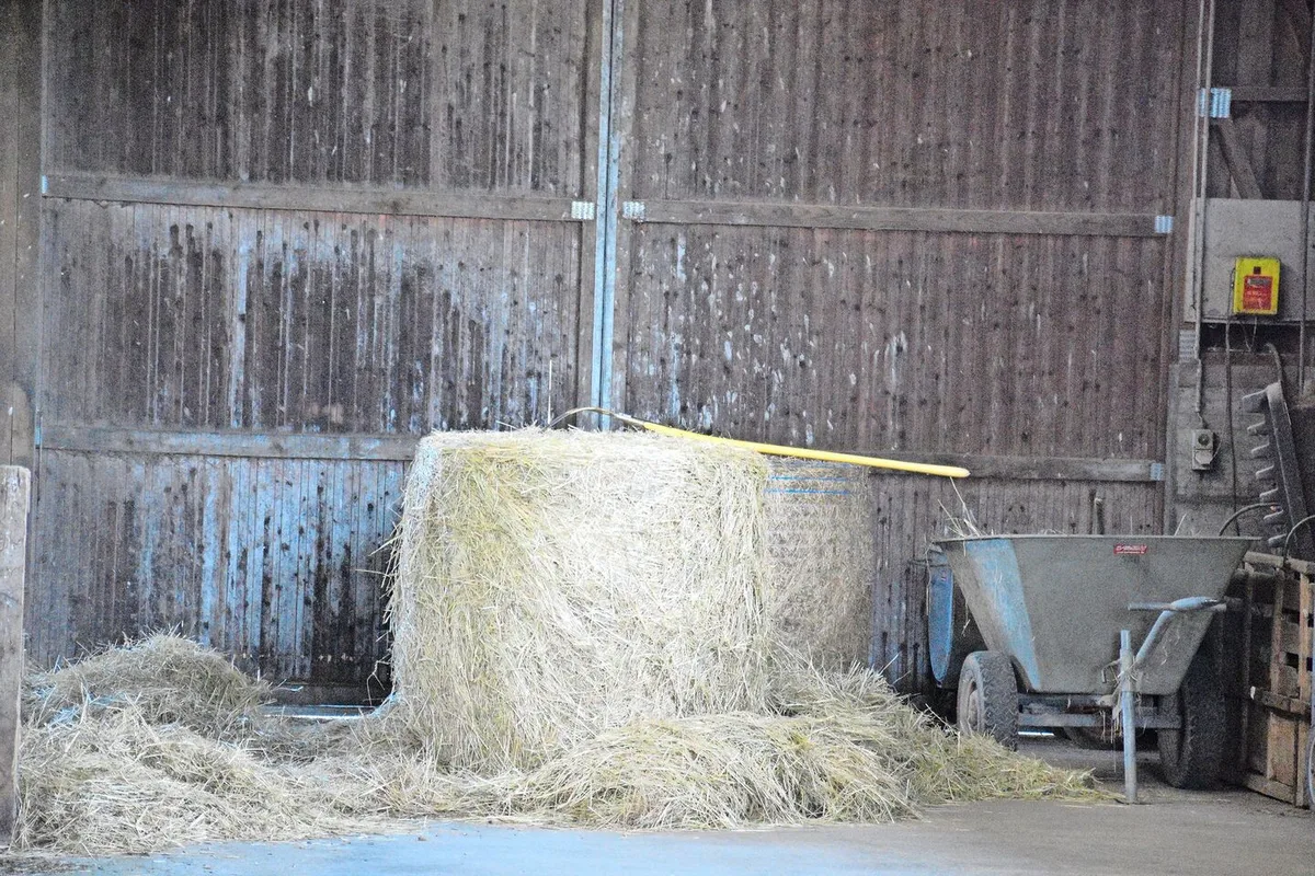93b5b241b98ba3a5849b77d0b78cbaa45e43ff2212015a209983e07742f66a78 Die Digitalisierung kann helfen, effizienter zu werden. Dafür muss man Daten aber nicht nur erheben, sondern vor allem auch nutzen können.