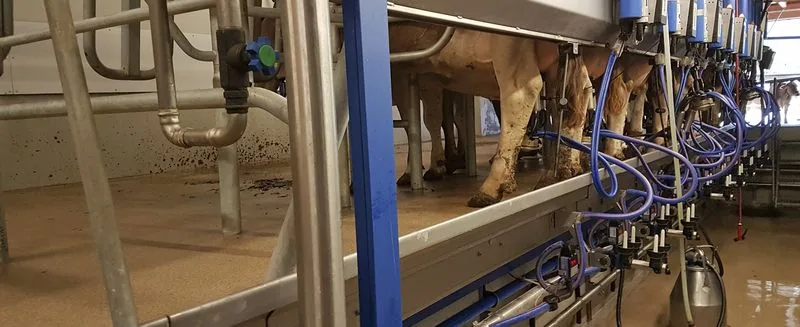 45f842891408464b20153bd3858f5102e1ba2df9 Die SMP wollen keinen Systemwechsel bei der Verkäsungszulage und wehren sich gegen eine Grenzschutz-Lockerung. (Bild lid/ji)