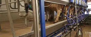 Die SMP wollen keinen Systemwechsel bei der Verkäsungszulage und wehren sich gegen eine Grenzschutz-Lockerung. (Bild lid/ji)