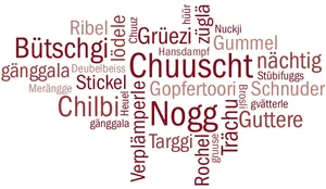 Die Schweizerdeutsche Mundart ist überaus vielfältig und variantenreich. Das Idiotikon verzeichnet die Sprache und ihre Geschichte, während laufend Forschungen betrieben werden. Das gleichnamige Institut unterstützt verwandte Projekte.(Bild BauZ)