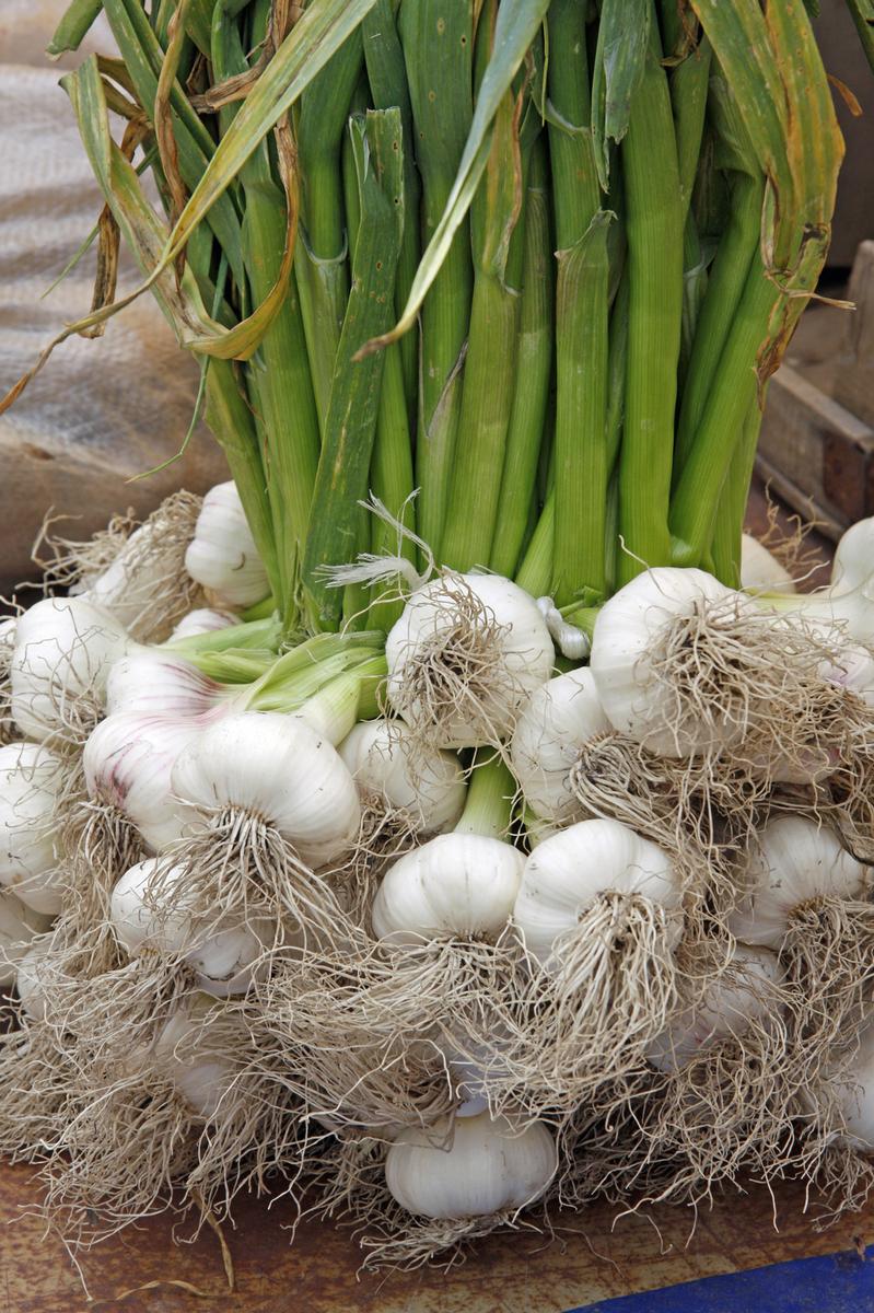 Knoblauch aus der Schweiz, hat es nicht leicht auf dem Markt. (Bild Klaus Eppele - Fotolia)