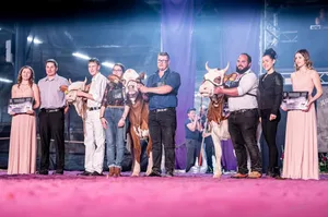 Championwahl Zweinutzungsrassen Rinder (v. l. n. r.): Reserve Stonehill Final Lynn von Hannes Oberli, Schangnau BE, Champion Geissbühlers Obama Joya von Samuel Geissbühler, Zollbrück BE und Mention Honorable Kilian Leya von Michael Rey, Le Châtelard VD.