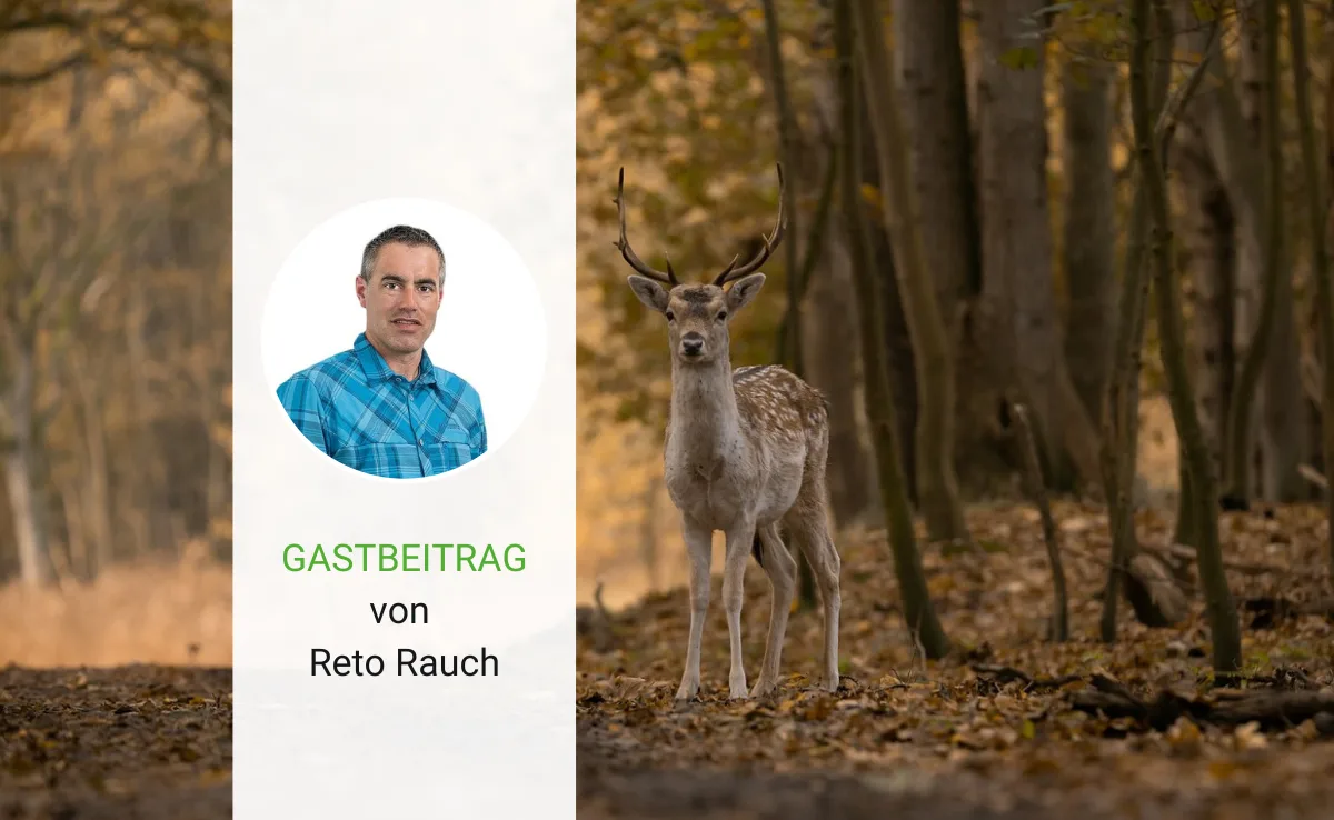 Artikel_Gastbeitrag_BauZ_Rauch Hirsch kann Spuren von Tiroler Alpengras enthalten