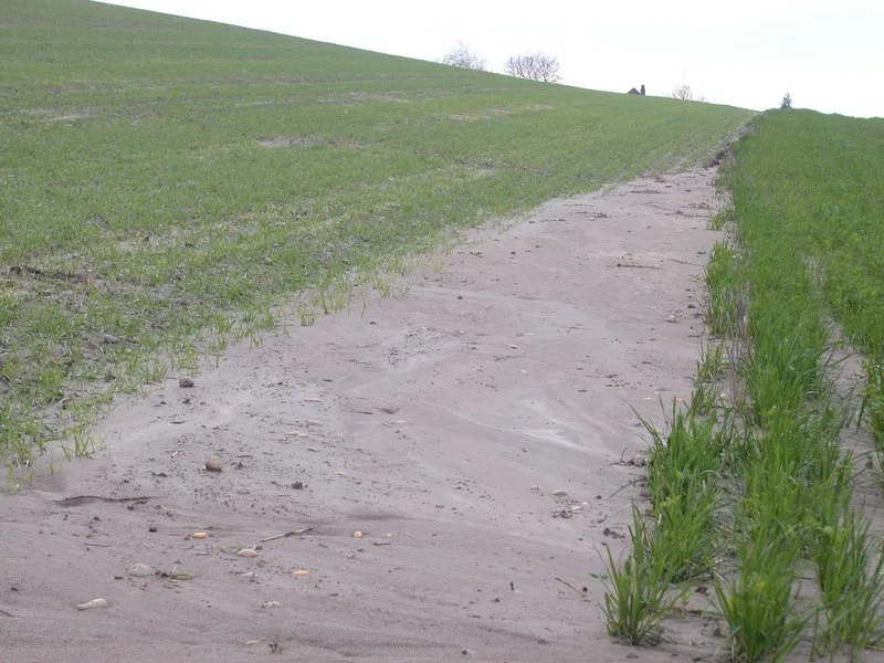 0561c330ce072136fb79a63bf56710b047f71345 Einer der im Jahr 2020 kontrollierten Bereiche ist der Erosionsschutz. (Bild BauZ)