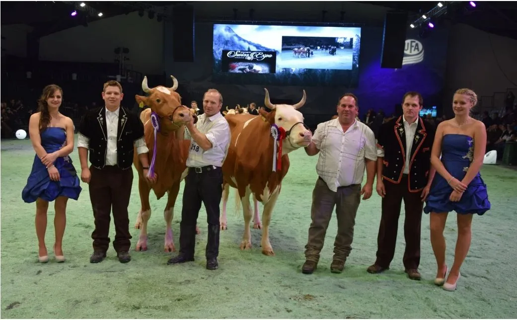 DSC_2 Die berühmte Schaudiva Incas Roxane EX-96 ist tot