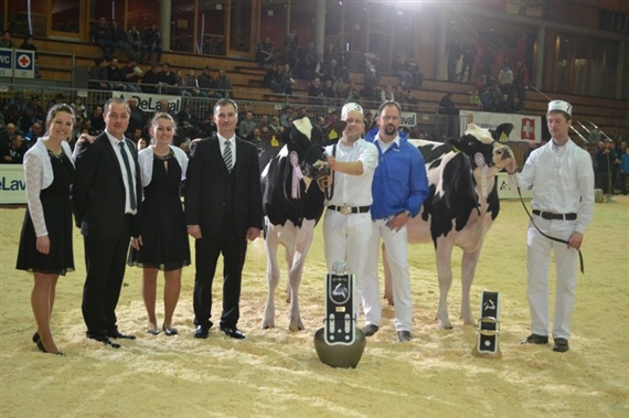 Letztes Jahr gewann Ptit Coeur Artes Mulane (links) den Junior-Champion-Titel. (Bild BauZ)