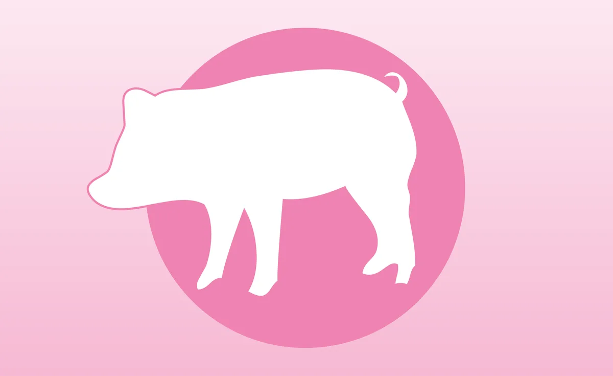 Schweinegesundheitsdienst