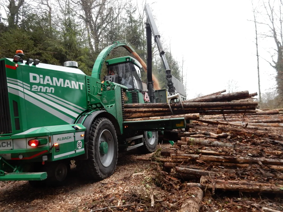Holz wird laut Bericht nicht effizient genug genutzt