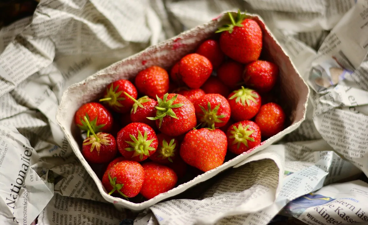 erdbeeren-karton Labore können jetzt besser überprüfen, woher Obst und Gemüse kommt