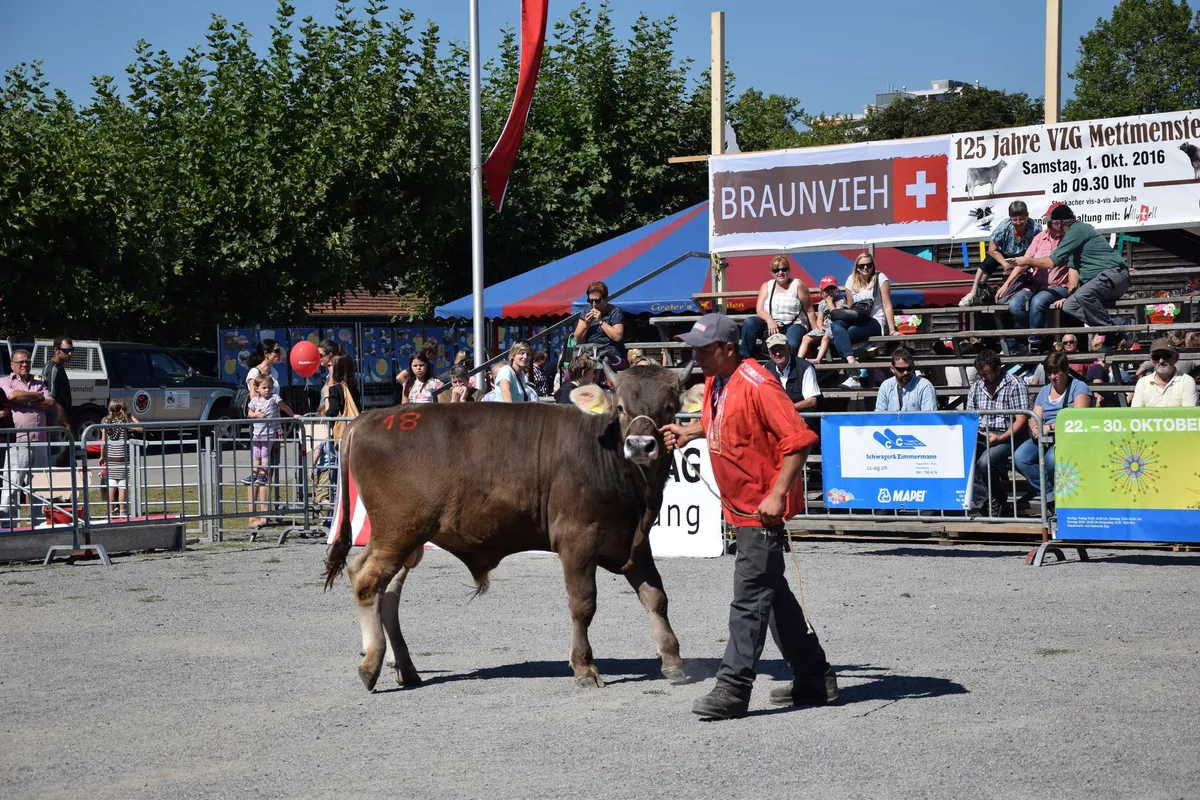 e637a2e780ef0fc914e08fc7fff9a770d878ee7c «Ravil Rubel» hat das Municasting für das ESAF in Zug 2019 gewonnen und gleichzeitig ist er Junior Mister OB. (Bilder jba)