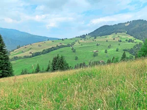 In Streusiedlungen wie hier in Habkern im Berner Oberland verursacht die Postzustellung grossen Aufwand.