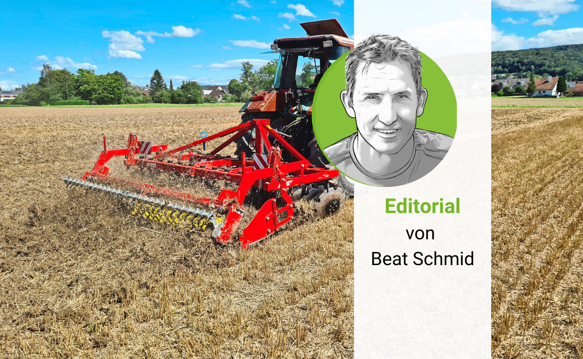 Stoppelfeld: Kratzen, spritzen oder begrünen? Editorial von Beat Schmid