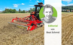 Jeder Landwirt muss sich überlegen, wie er nach der Getreideernte die Stoppelbearbeitung angehen will.