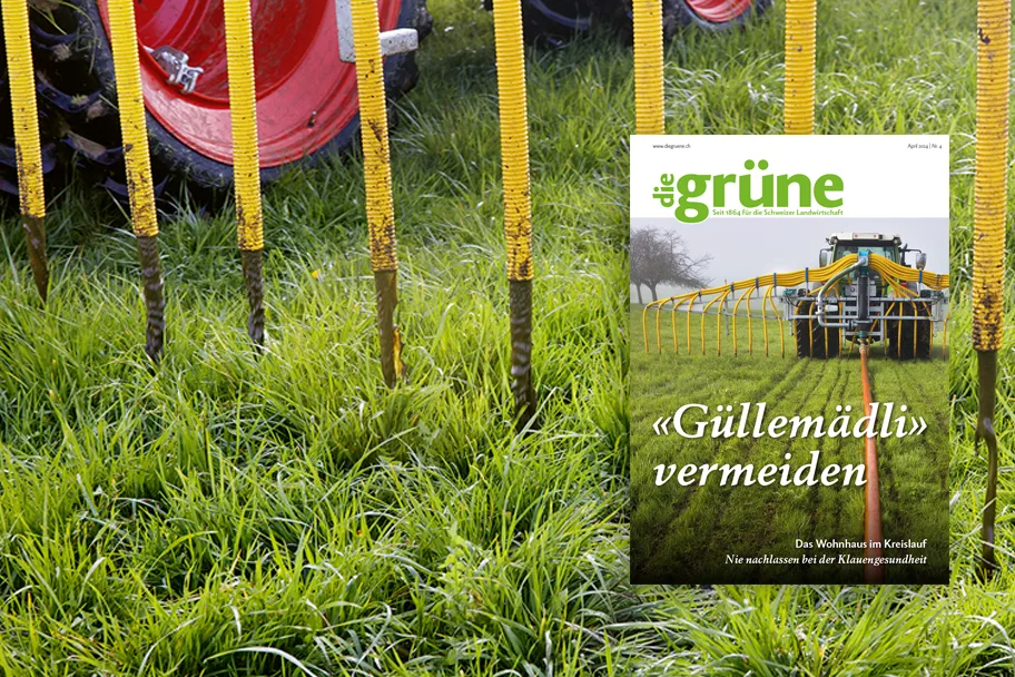 DG_24_04_3zu2_Titelbild «die grüne» im April 2024 – Wie vermeide ich «Güllemädli»?
