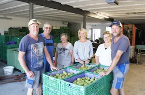 Die Gebrüder Weber setzen mit ihrem breiten Obstsortiment auf die Karte Direktvermarkung. Von links: Jörg, Hansueli, Lisbeth und Astrid Weber, Jasmin Streit und Daniel Weber.