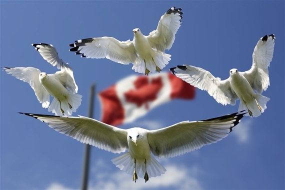 CETA ist ein Freihandelsabkommen zwischen Kanada und der EU. (Bild Pixabay)