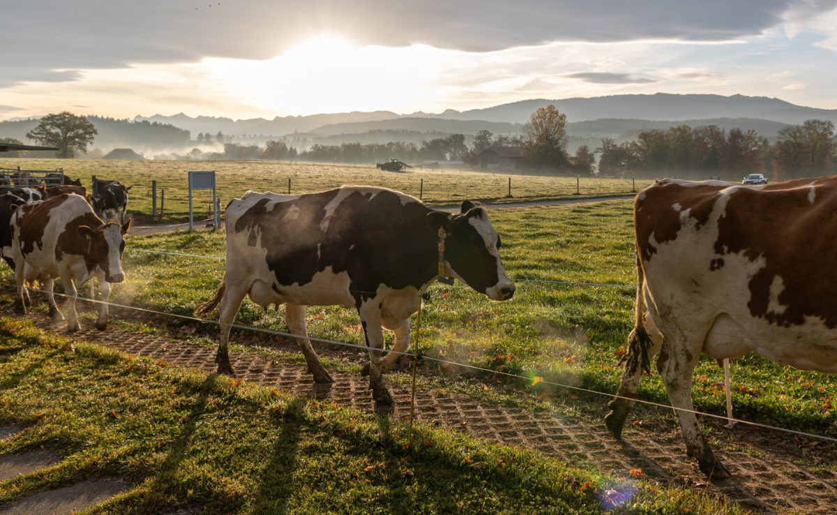 Zusammen könnten Landwirte eine längere Nutzungsdauer attraktiver machen
