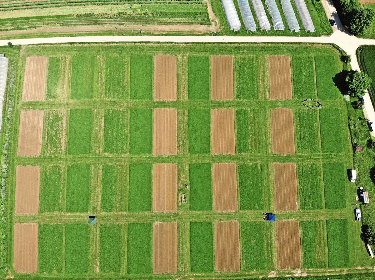 Seit den 1970er-Jahren werden in Therwil BL die Anbausysteme Biologisch-dynamisch (D), Biologisch-organisch (O) und Konventionell (K) im DOK-Versuch miteinander verglichen.