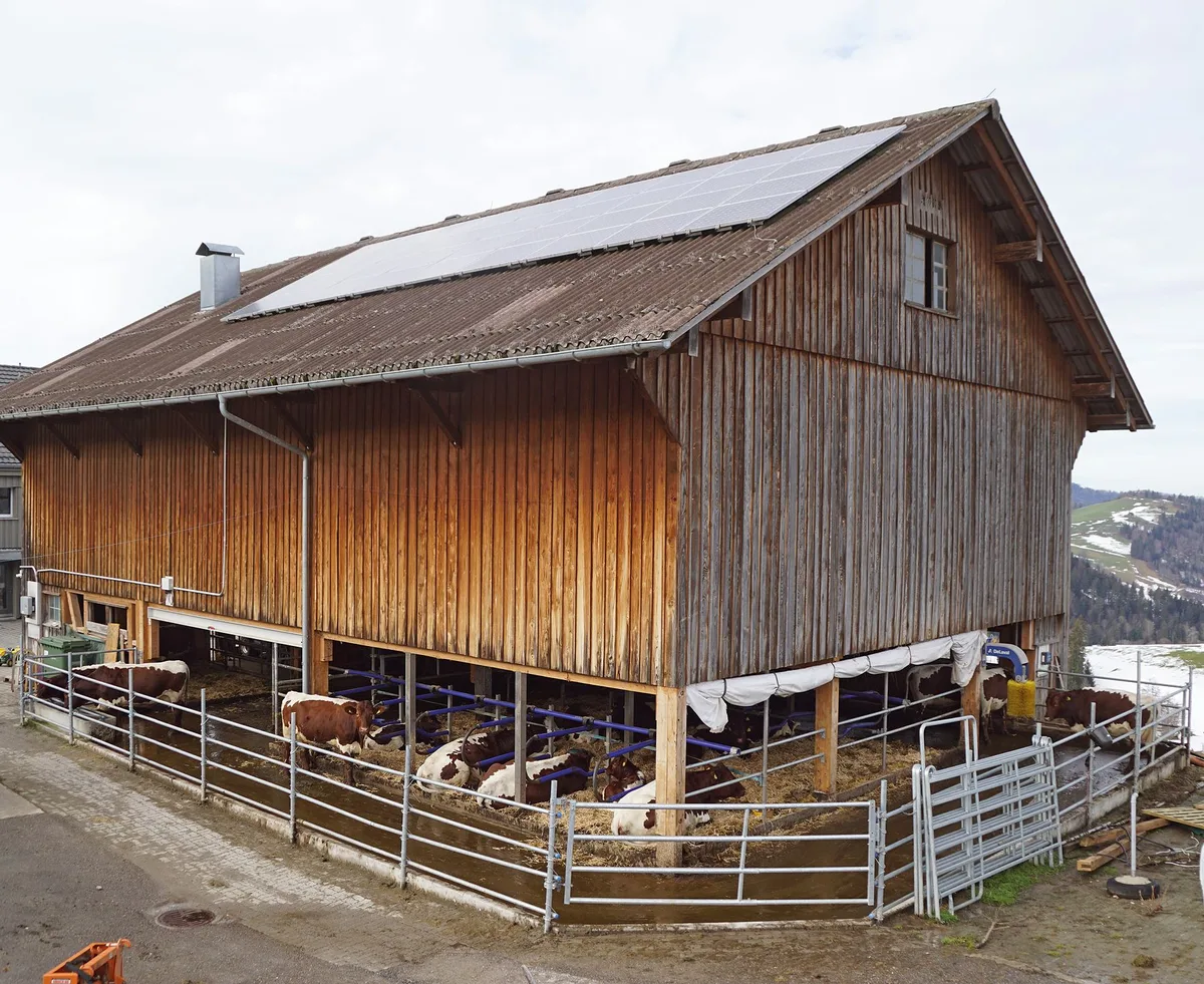 bb5d27ec2f3f1dbb1a9973d3fbdfebe638155780 Der deckenlastige Stall der Familie Alder in Hemberg ist auf zwei Seiten offen. (Bilder Michael Götz)