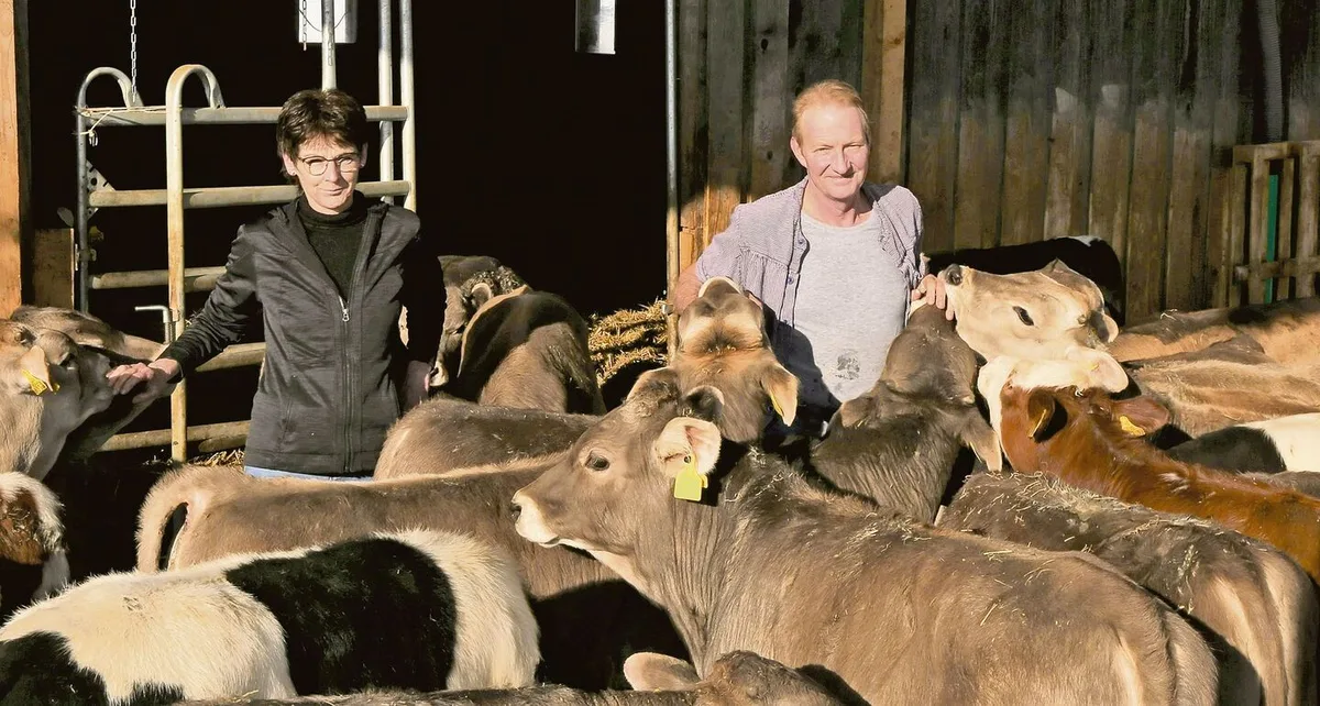 Gesunde Tiere machen viel Freude und sind auch betriebswirtschaftlich interessant: Claudia und Alois Renggli investieren viel Zeit in die Beobachtung ihrer rund 100 Mastkälber.