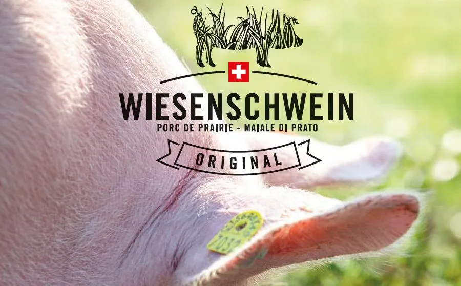 c9cfbe196dcd49348045be9c184fde8487689391 "Wiesenschweine" haben Auslauf und vielfältige Beschäftigungsmöglichkeiten. Oliver Hess hatte einige Hindernisse zu überwinden, auf dem Weg zu einem würdevolleren Schweineleben. (Bild Falzprospekt "Wiesenschweine")