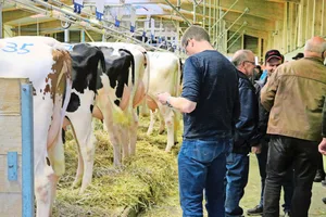 Im Vergleich zum Ausland werden Tiere in der Schweiz häufig verstellt. Das erhöht die Verbreitung von Krankheiten und Seuchen. Der Kantonstierarzt Grégoire Seitert ist aber zuversichtlich, «dass wir BVD ausrotten können».