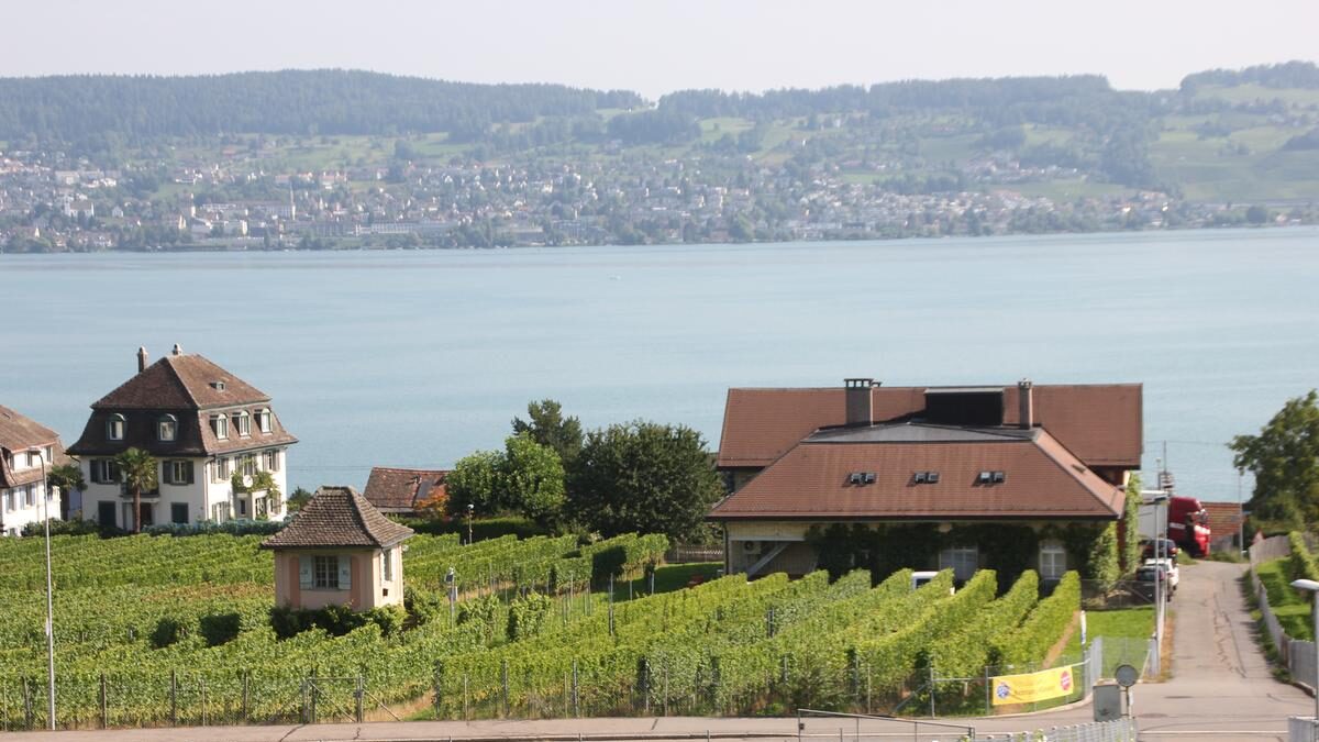 Die Drosselung des Abflusses aus dem Zürichsee tangiert Landwirtschaftsbetriebe wie das Weinbauzentrum in Wädenswil bisher kaum.