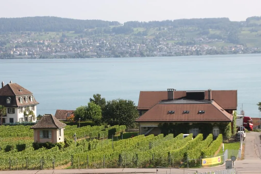 Weinbauzentrum Wädenswil Die Drosselung des Abflusses aus dem Zürichsee tangiert Landwirtschaftsbetriebe wie das Weinbauzentrum in Wädenswil bisher kaum.