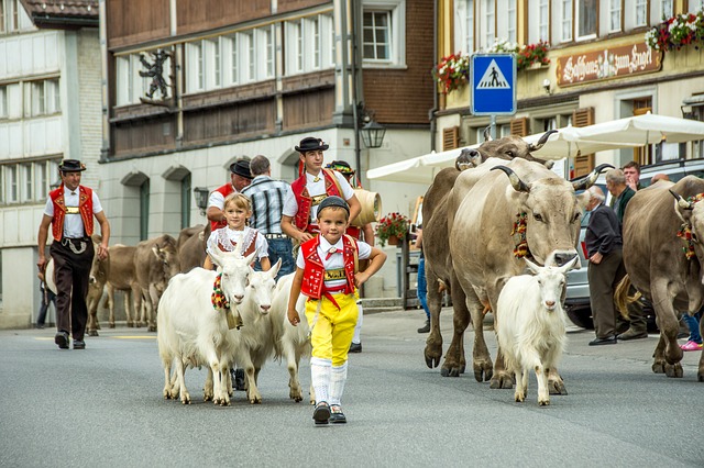 Die Idylle trügt: Die Schweizer Landwirtschaft fürchtet neue Freihandelsabkommen. (Bild Pixabay)