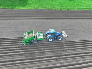 2026 wurden 55 Hektaren weniger Frühkartoffeln gepflanzt, weil in den Lagern noch 33'000 Tonnen Speisekartoffeln aus der Vorjahresernte liegen.