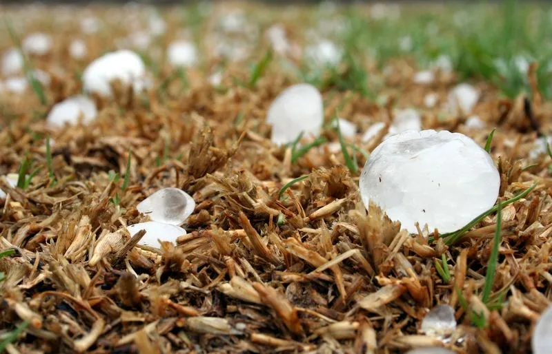 75ad9b20e9cf8f6f415d44ef38002ec0e60fd355 In einigen Regionen der Schweiz verursachte Hagel erneut Schäden. (Symbolbild Pixabay)