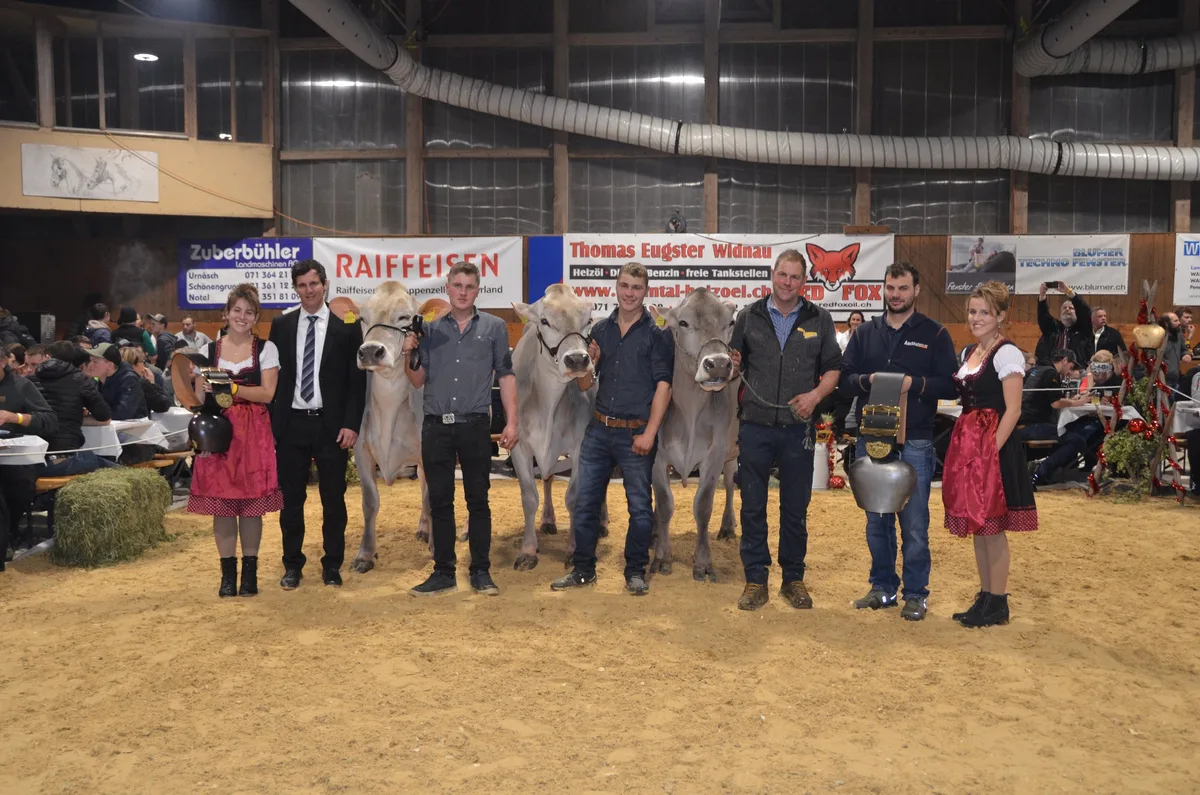 Hansruedi Lanker gewinnt mit Pete Alessia