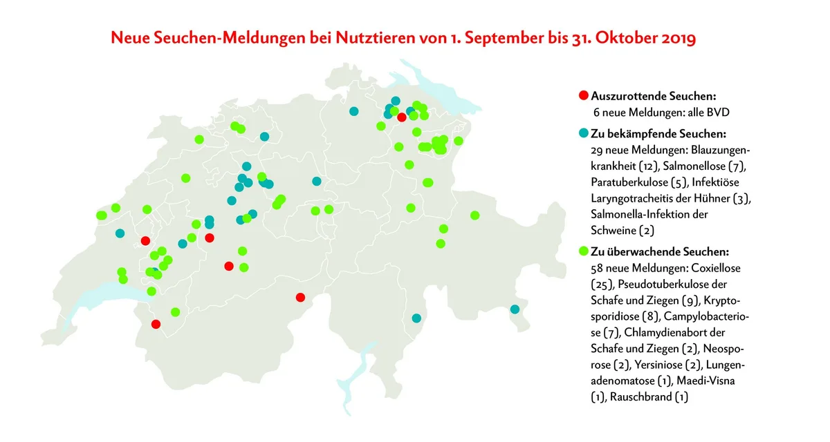 b2465e4b48bf1a6829cbca2c8980f677fee53cf6 Neue Seuchenmeldungen bei Nutztieren von 1. September bis 31. Oktober 2019. Grafik: Doris Rubin, Quelle: www.dgrn.ch/infosm