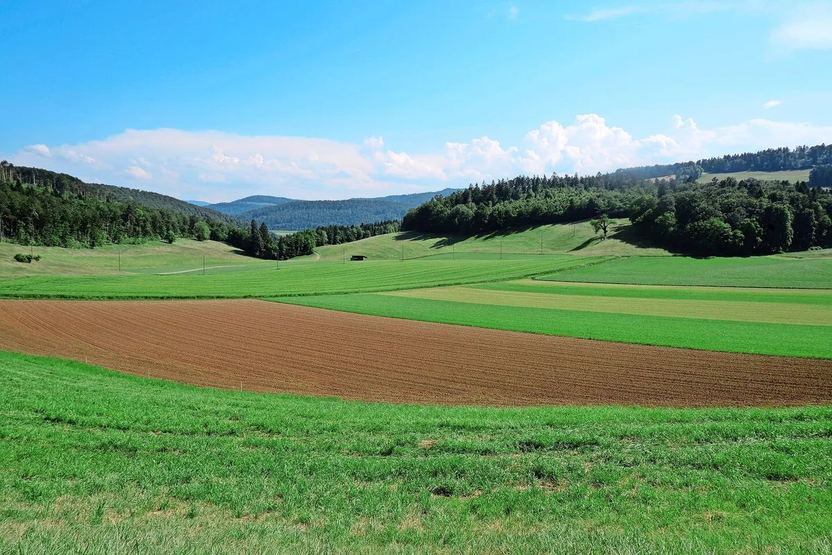 Für die Festlegung von Zuströmbereichen müssen die Wasserflüsse in der Landschaft nachvollzogen werden. Die offiziellen Grundlagen dafür sind veraltet und in Überarbeitung.