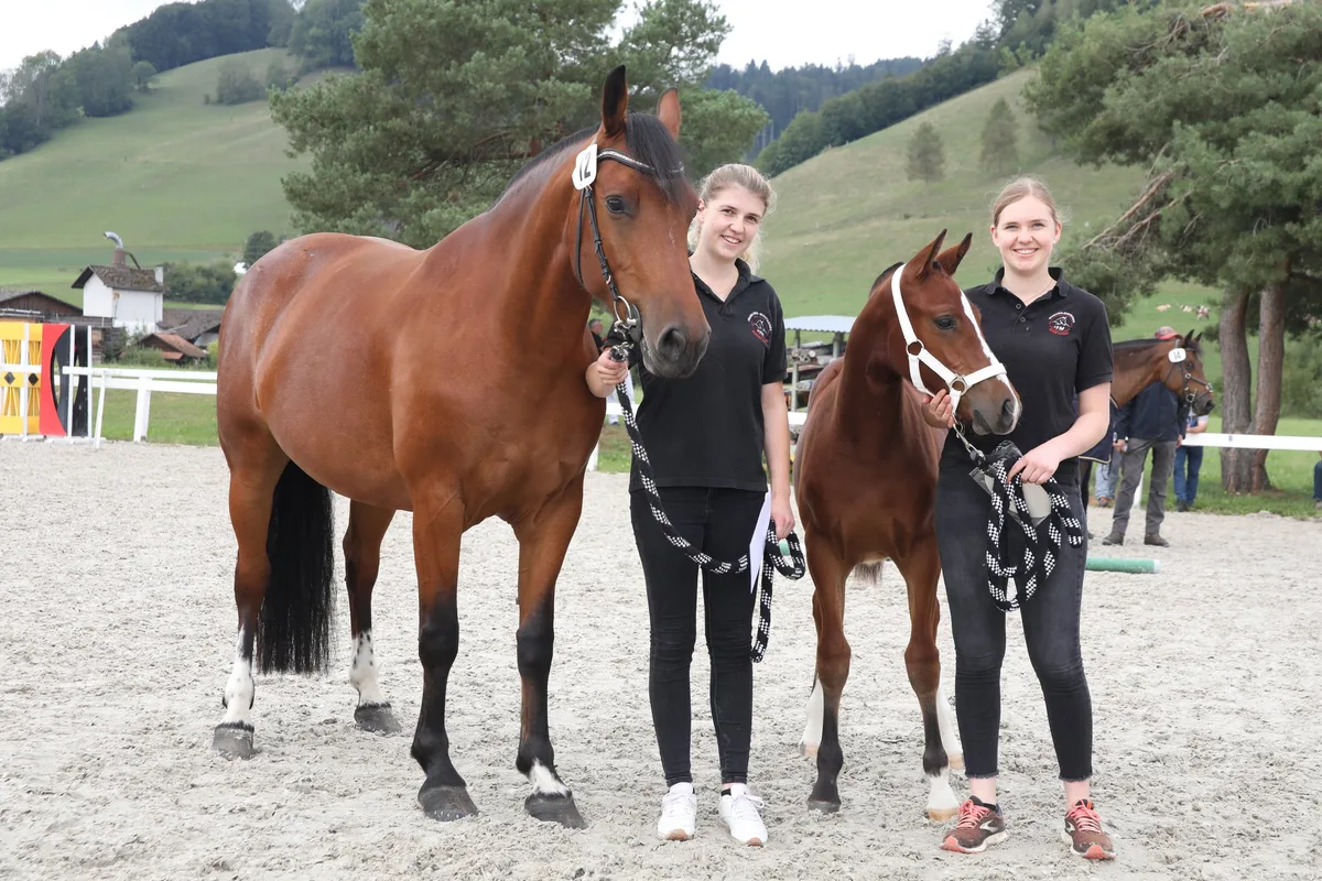 2._Rang_Stutfohlen_fu__r_Nova__Nordica_de_la_Burgis__von_Andreas___Michelle_Eggimann_aus_Utzigen__1_ Familie Bernhard siegt mit Hengstfohlen «Edison BR» in Hasle-Rüegsau