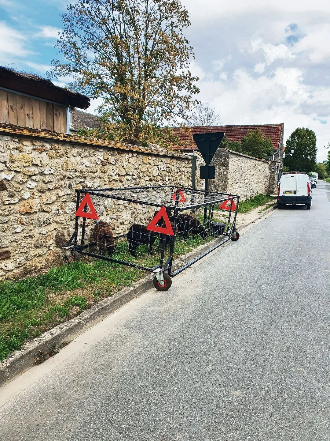 b90a8eb329790188186688e200b934cfb45c4df7 Ouessantschafe (auch Bretonische Zwergschafe), die kleinsten Schafe Europas, helfen in der Gemeinde Janvry (F) die Strassenränder zu mähen. (Bild Christian Schoettl)