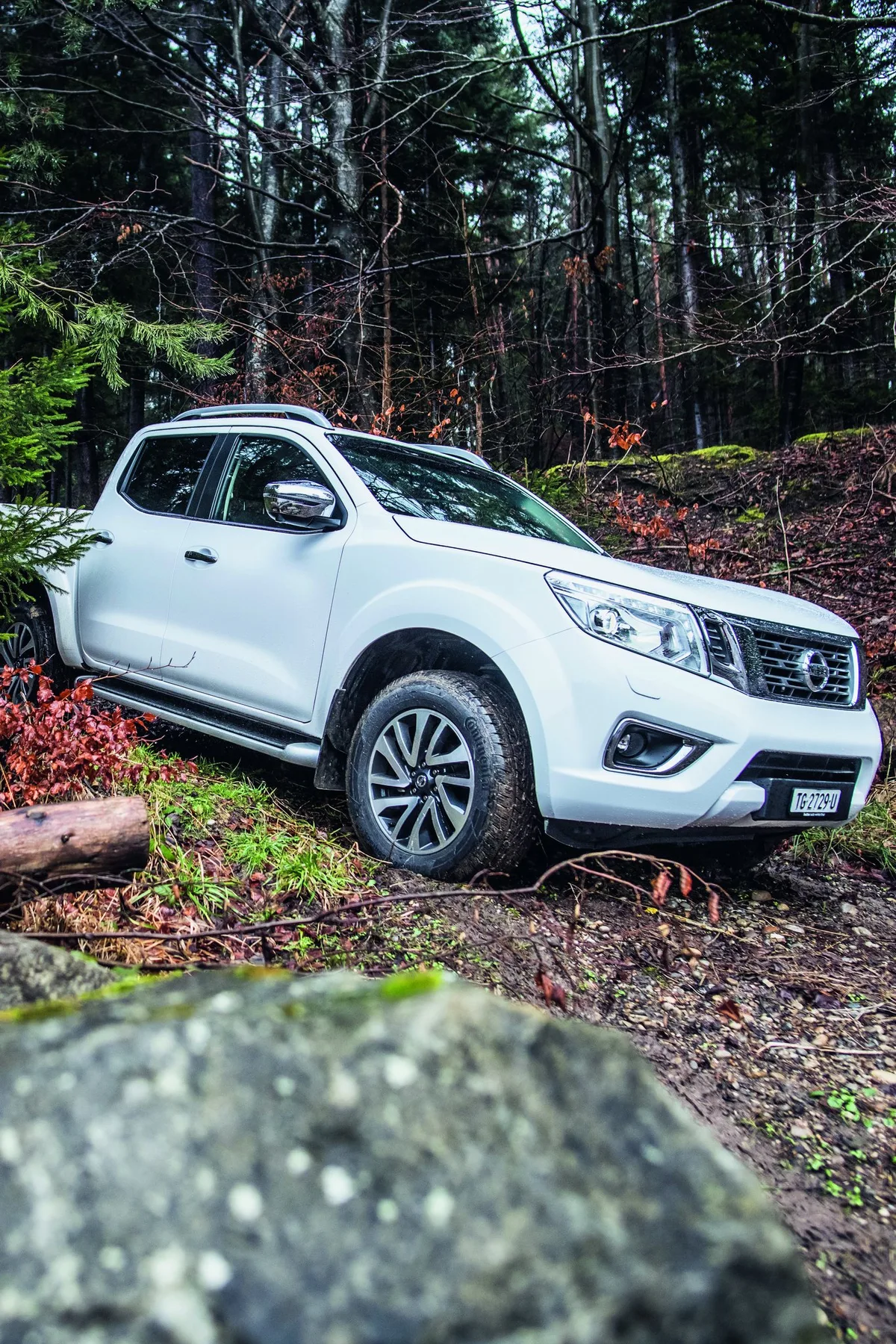 dg_18-12_lt1_pick-up_nissan_navara_05 Kettensägen kreischen bei den Eichen