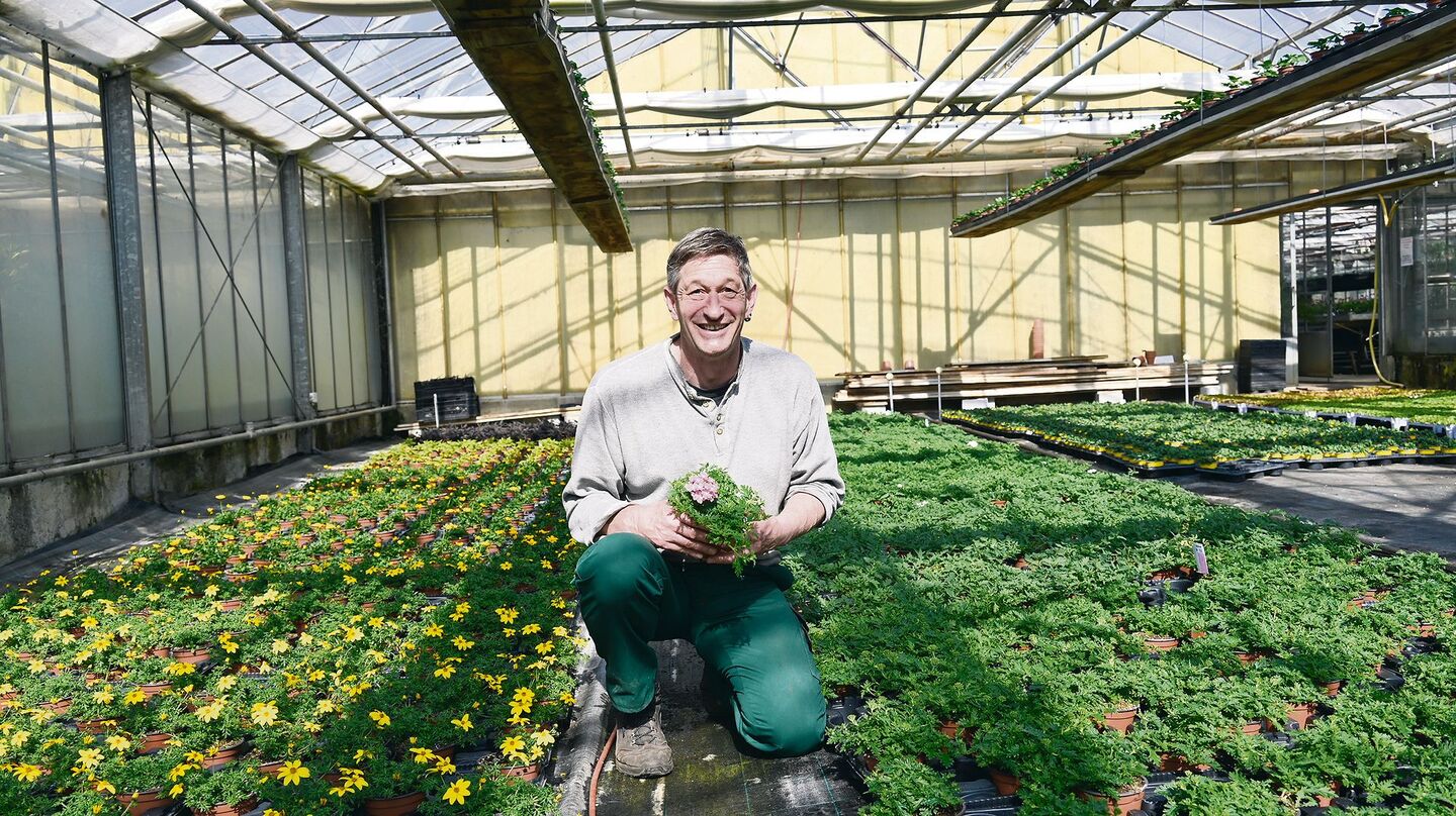 Die Jungpflanzen bei Daniel Riem gedeihen gut im Gewächshaus. Noch ist es viel zu früh für die Pflanzung draussen.