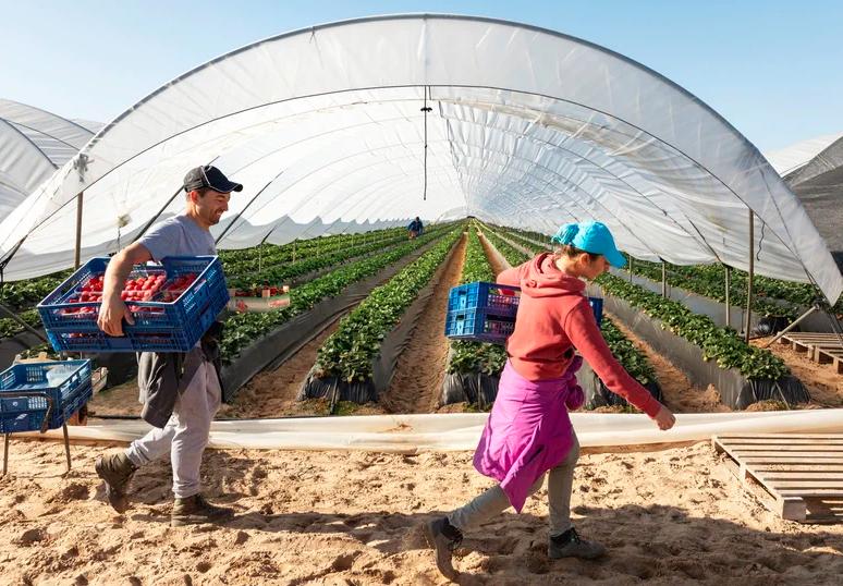 Die Bedingungen sollen sich für die Arbeiter verbessern. (Bild Migros)