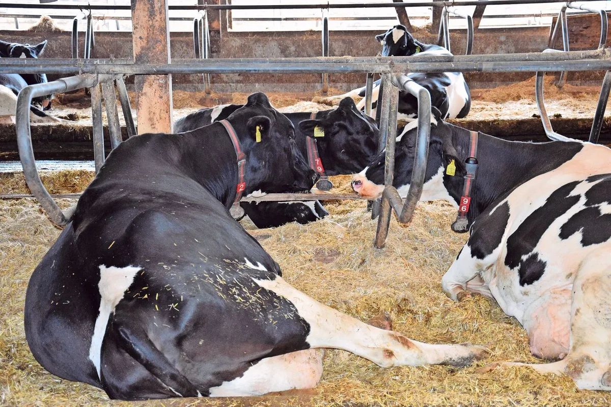 Eine Frist zur Behebung statt direkter Direktzahlungskürzungen, wenn kein direkter Handlungsbedarf oder ein relevanter Tierschutzverstoss vorliegt: Das fände Aniterra-Verwaltungsrat und Nationalrat Andreas Gafner sinnvoll.