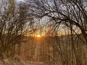 Leuchtet hier etwa schon die Frühlingssonne durchs Gehölz? Zumindest in den nächsten Tagen bleibt es warm, gegen Ende des Monats zeichnet sich jedoch ein erneuter Kälteeinbruch ab.