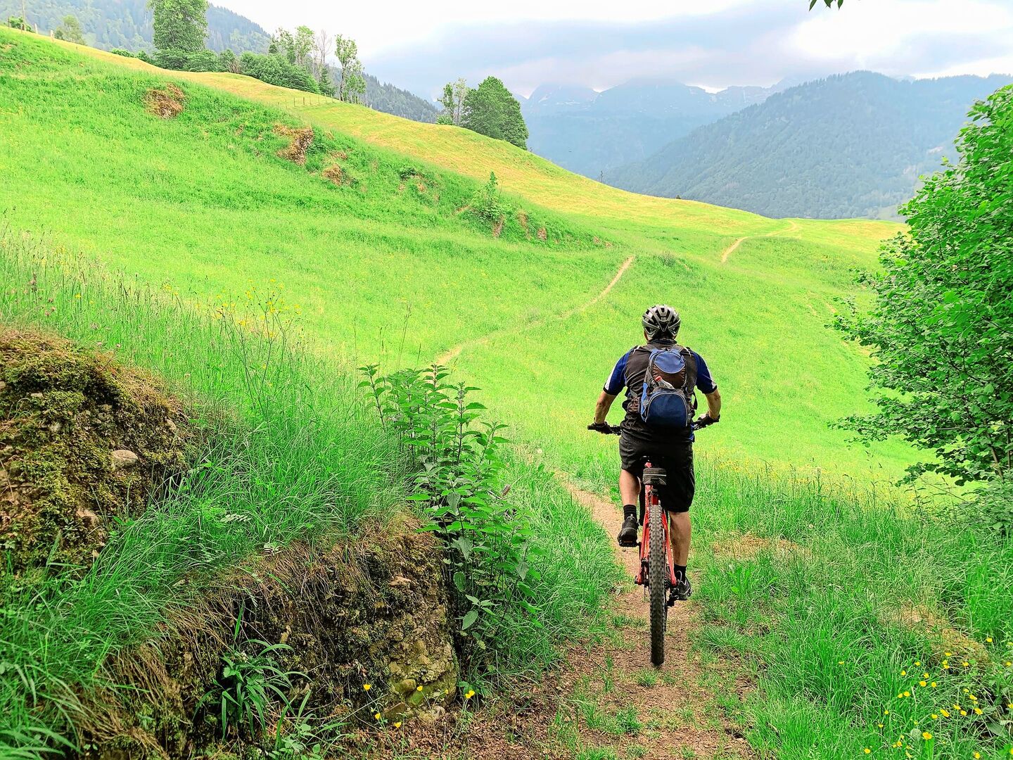 Biker wollen nicht nur auf befestigten Wegen fahren. Ob auf Wanderwegen durch Wiesen und Weiden auch Biker toleriert werden, wird regional sehr unterschiedlich gehandhabt.