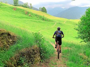 Biker wollen nicht nur auf befestigten Wegen fahren. Ob auf Wanderwegen durch Wiesen und Weiden auch Biker toleriert werden, wird regional sehr unterschiedlich gehandhabt.