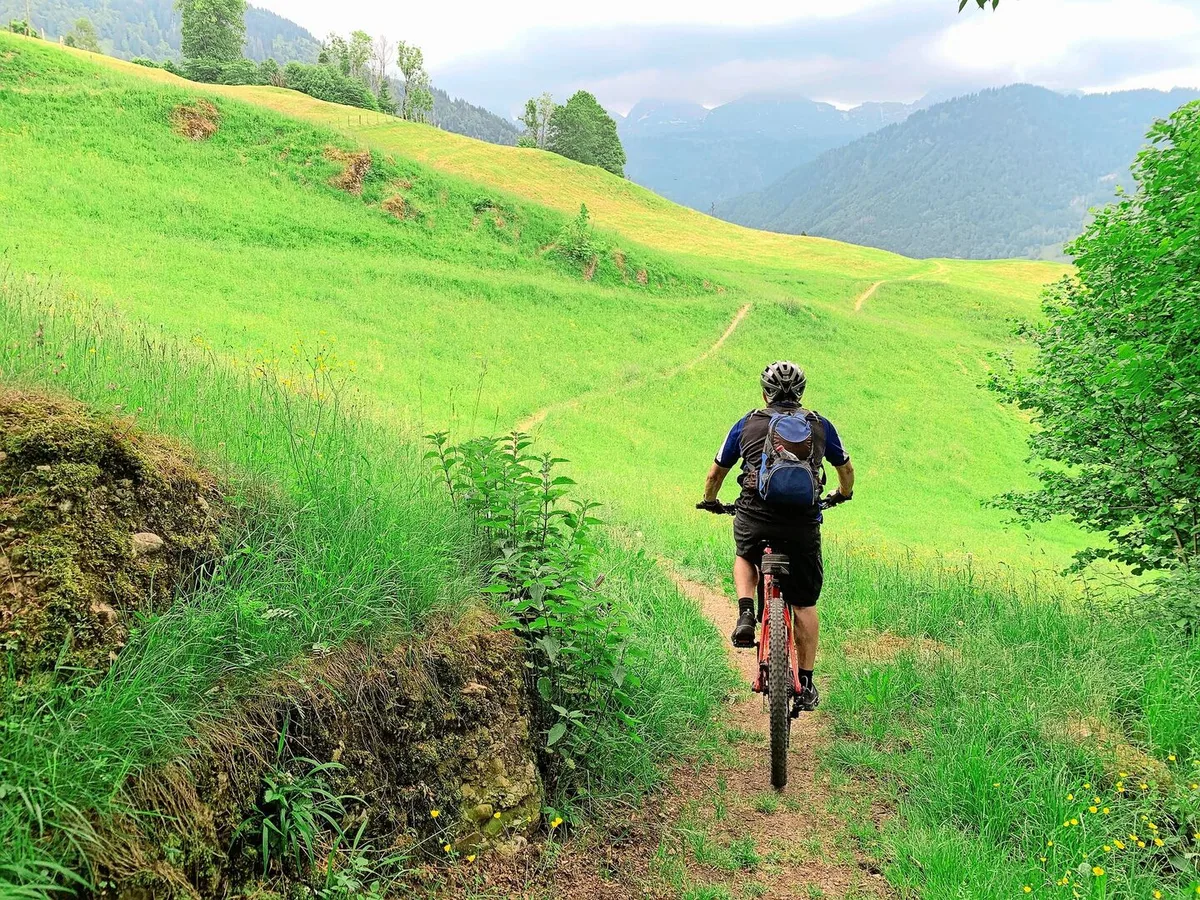 Biker wollen nicht nur auf befestigten Wegen fahren. Ob auf Wanderwegen durch Wiesen und Weiden auch Biker toleriert werden, wird regional sehr unterschiedlich gehandhabt.
