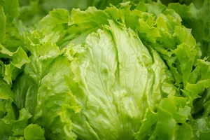 Für geschnittenen und abgepackten Eisbergsalat geben Konsumentinnen und Konsumenten gerne mehr Geld aus. (Bild Pixabay)